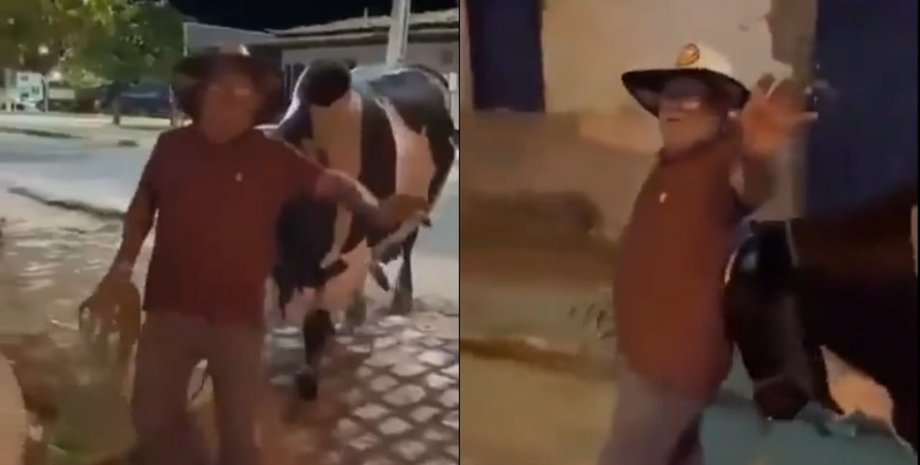 Мужчина выпил лишнего на вечеринке: гуляку домой проводил бычок