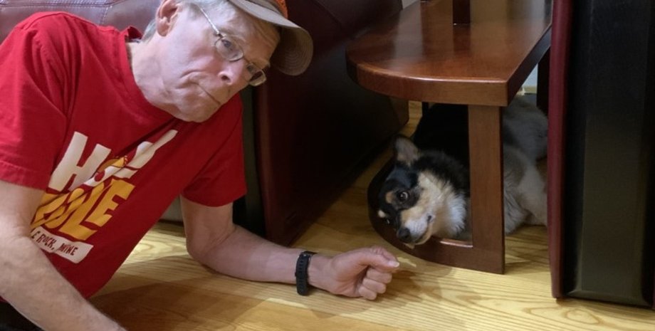 Cтивен Кинг, писатель