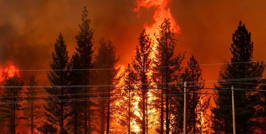 лісові пожежі, лісова пожежа, зсуви ґрунту