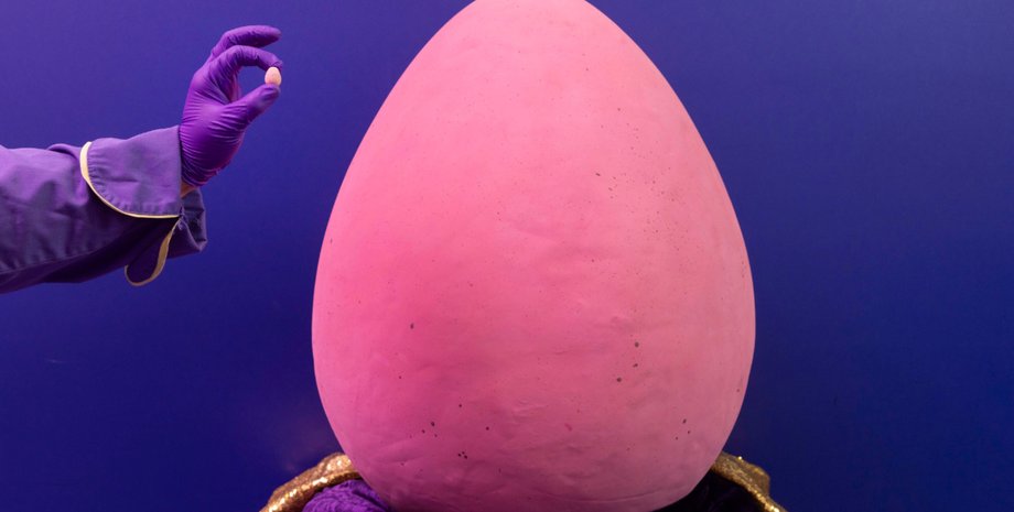 пасхальное шоколадное яйцо