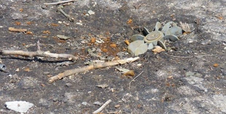 Фото: Facebook.com/ato.news