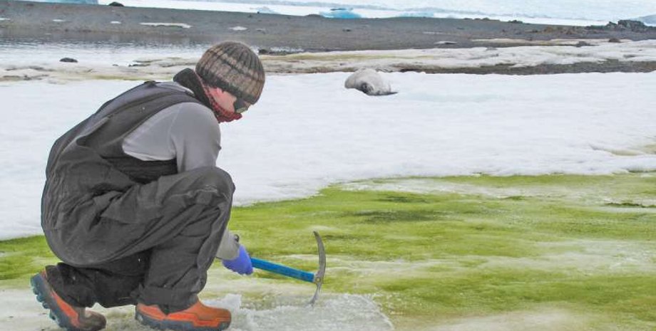 Фото: Sarah Vincent