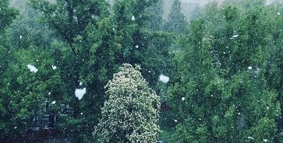 Фото из открытых источников