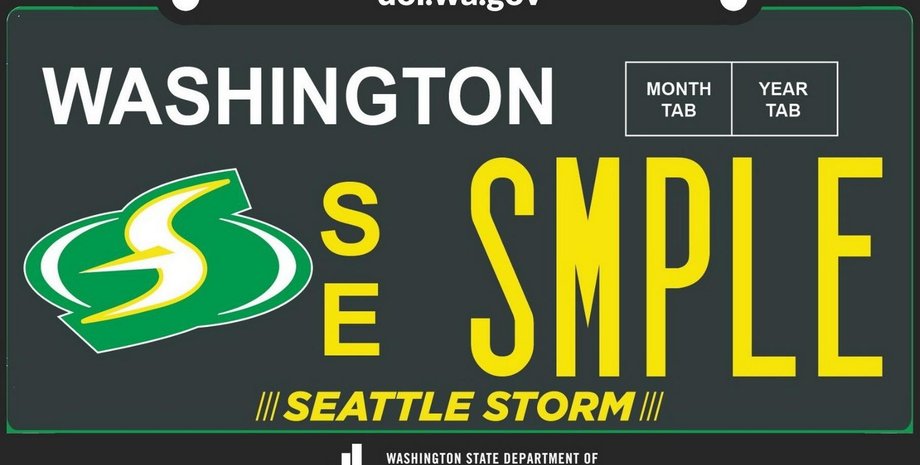 Бумажные номерные знаки Терсон