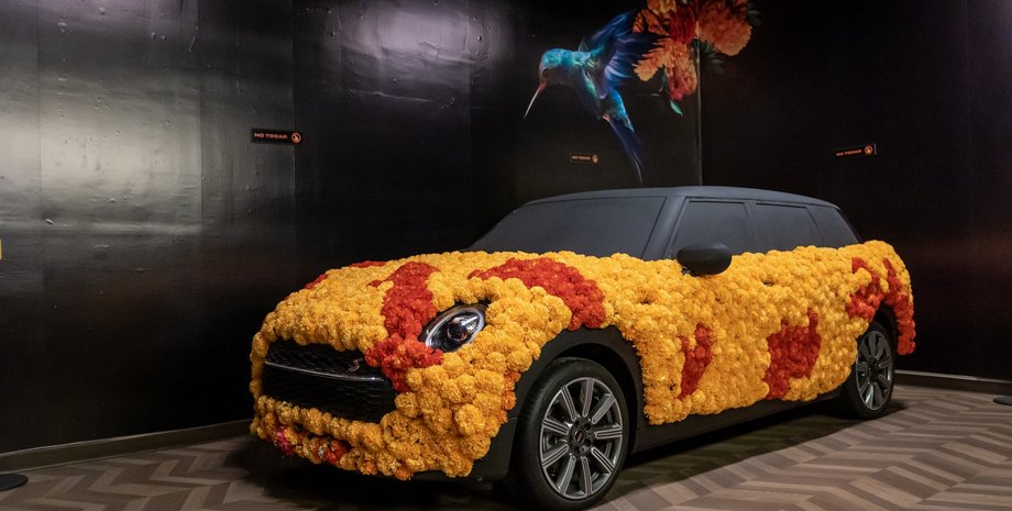 MINI, MINI Clubman, Цветы, Авто, Автомобили, Фото, Мексика, Искусство