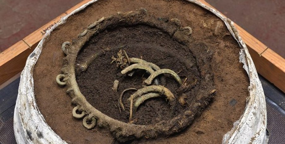 клад, раскопки, археологи, археология, растение, остатки, бронзовый век, браслет, артефакты, поселение, яма, находка, исследование, бронза