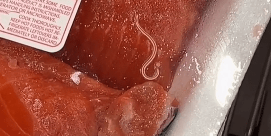 Червь в упаковке лосося, лосось, продукты, червь, паразит, испорченные продукты в магазине, морепродукты