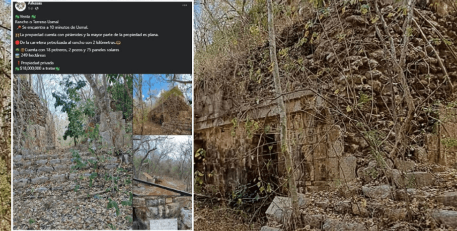 майя, исследования, объявления, фейсбук, археологическая достопримечательность, юкатан, мексика, Шкипче, Национальный институт антропологии и истории (INAH)