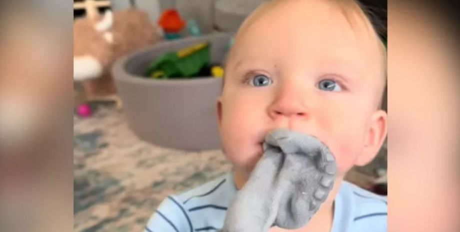 Малыш носит во рту носки, повторяя за своим лабрадором, курьезы, интересности, приколы, животные, домашние любимцы