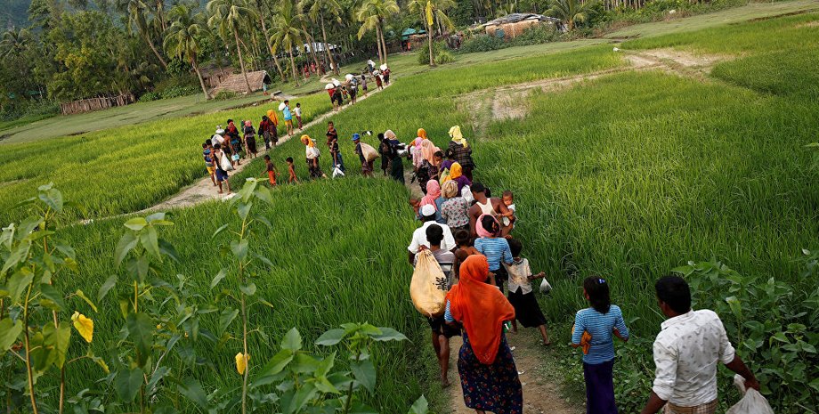 Фото из открытых источников