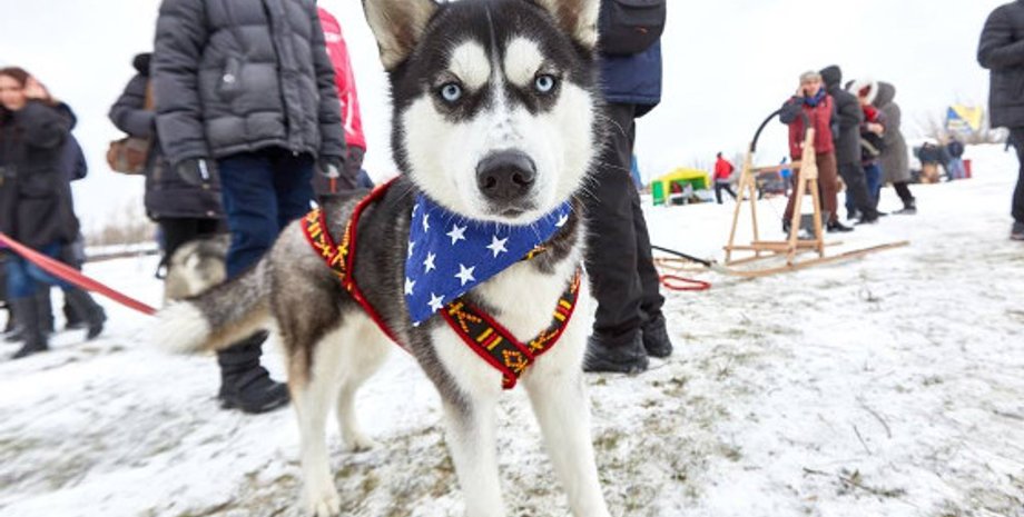 Фото: kharkov.dozor.ua
