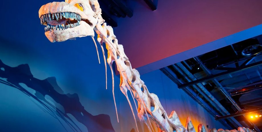 титанозавр, патаготитан тиранозавр