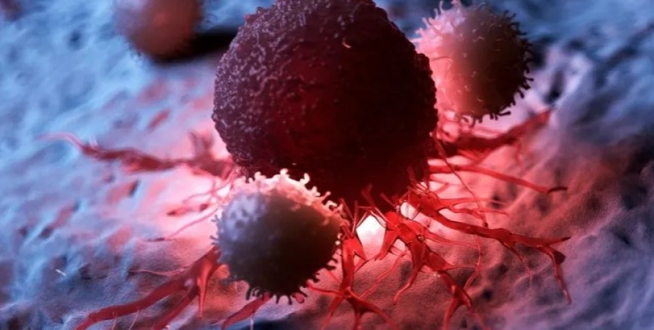 раковая клетка рак