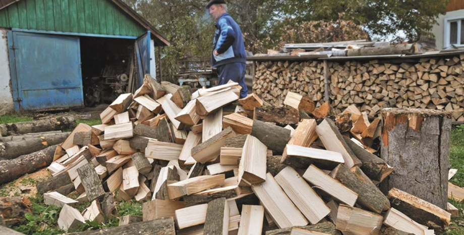 дрова, мінсоцполітики