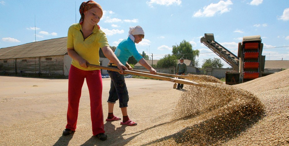 врожай 2021, український апк, агробізнес в Україні, українські аграрії