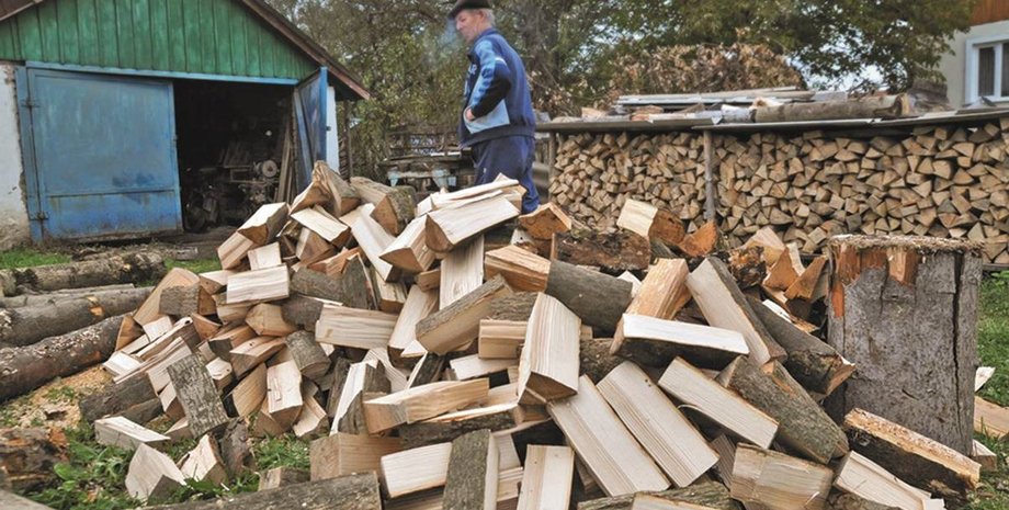 дрова, минсоцполитики