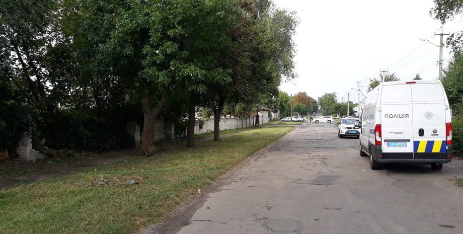 новости днепра, пятихатки,убийство 16-летней девушки, лиза головня