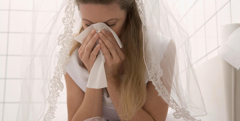 Скандал на свадьбе, курьезы, невеста, жених вывез кота, домашние любимцы, животные, отношения, любовь