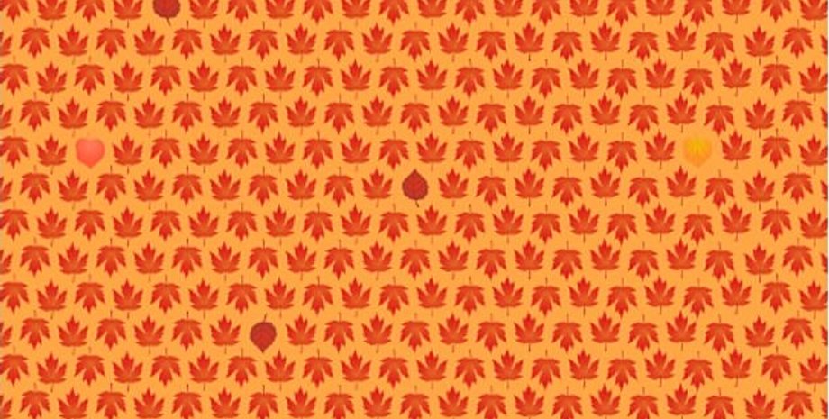 Сезонний тест на ідеальний зір