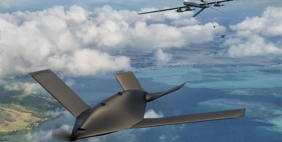 Дрон Eaglet, БПЛА Gray Eagle, дон орля, дрон сірий орел