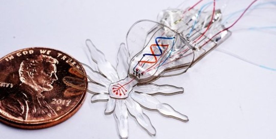 Фото: Wyss Institute at Harvard University