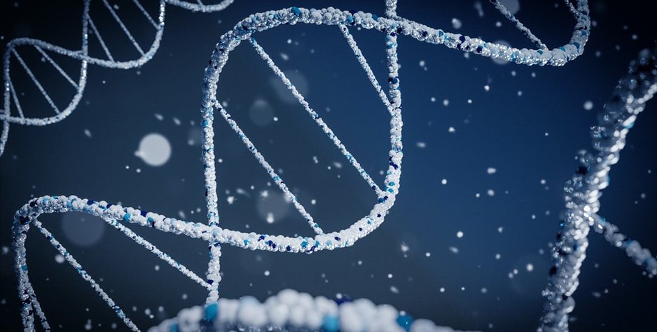 спираль, нанопроволока, ДНК