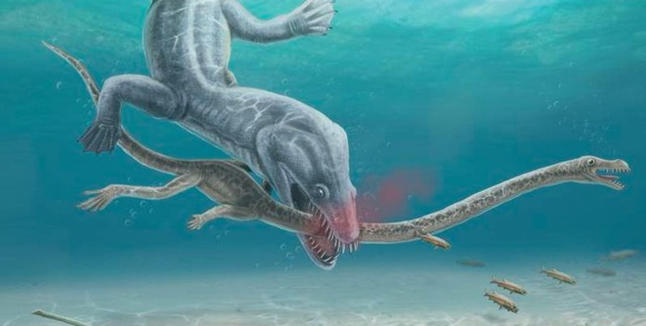 рептилии, динозавры, останки, ископаемые, палеонтологи, исследования, приступ, хищник, палеонтология, останки, древние животные, шея, эволюция