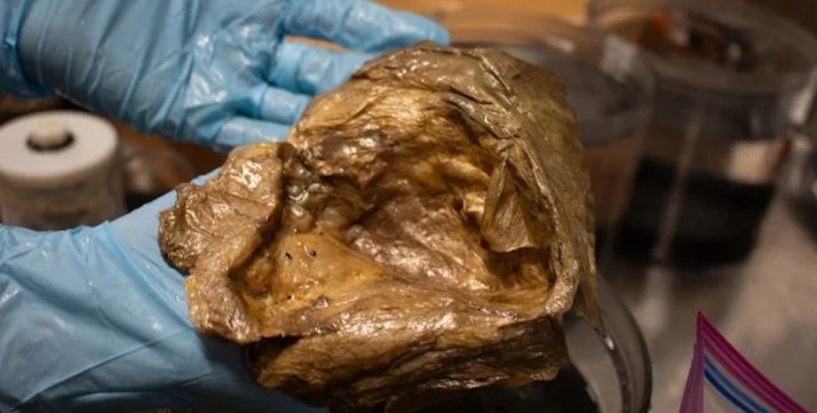 золотое яйцо в океане