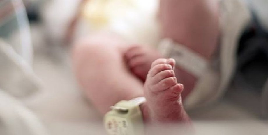 Фото: The Standard