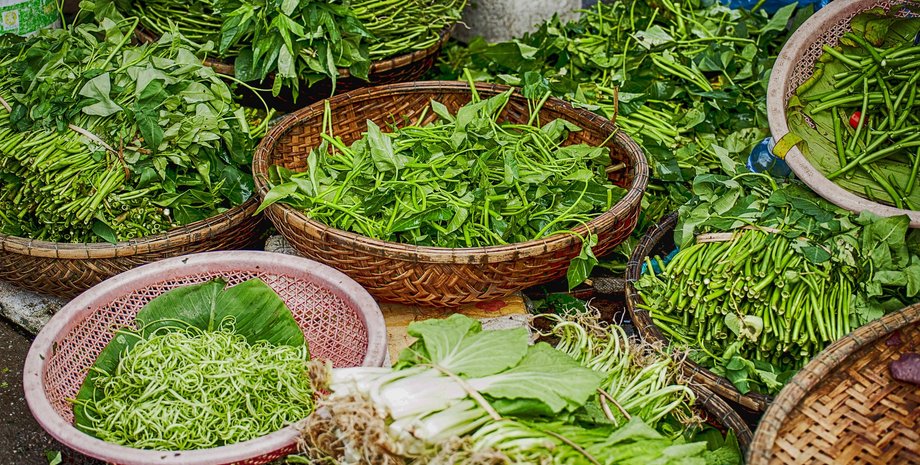 прянощі, кріп, петрушка, кінза, салат, рукола, зберігання