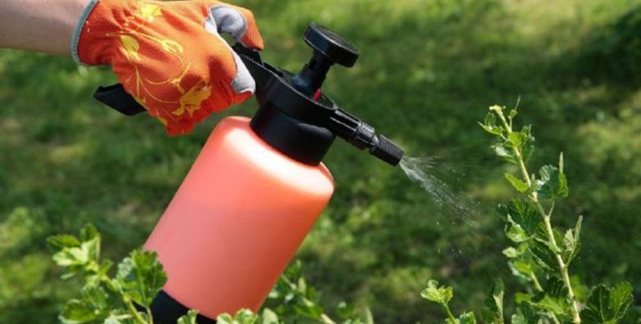 Фото: StopVreditel.ru