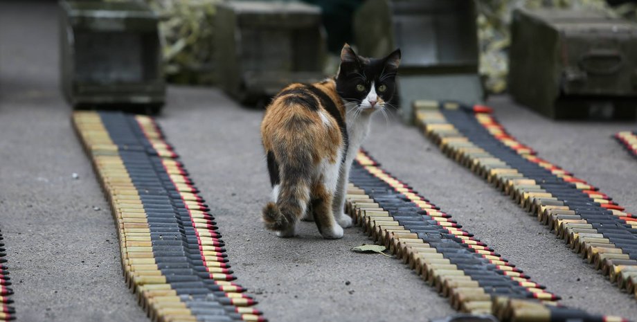Фото пресс-центра АТО