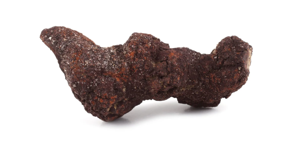 копролиты копролиты, окаменелость, фекалии, ученые, исследования, анализ, люди, геном, питание, бактерии, вирусы, микробы, ДНК, открытие, курган, Япония, Дземон