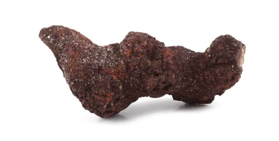 копролиты, окаменелость, фекалии, ученые, исследования, анализ, люди, геном, питание, бактерии, вирусы, микробы, ДНК, открытие, курган, Япония, Дземон