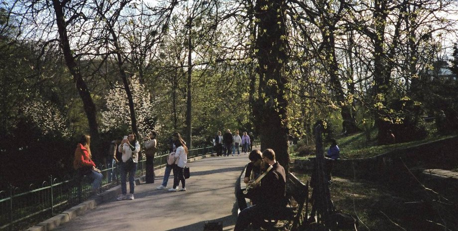 Мошки, комахи, Київ, столиця, алергія, загроза, укуси комах