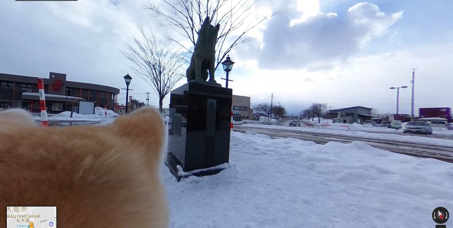 Акита-ину смотрит на памятник Хатико / Скриншот: google.com/maps