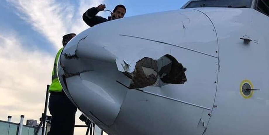 Фото: twitter fernando fernandez