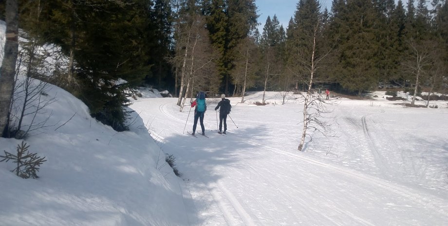 Фото из открытых источников