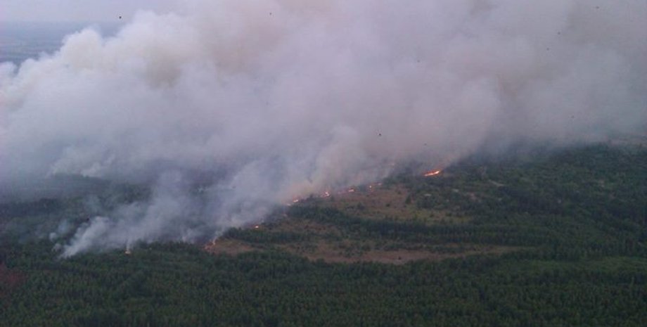 Пожар в зоне отчуждения / Фото пресс-службы ГСЧС