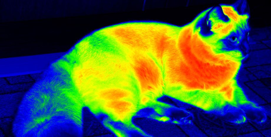 Фото из открытых источников