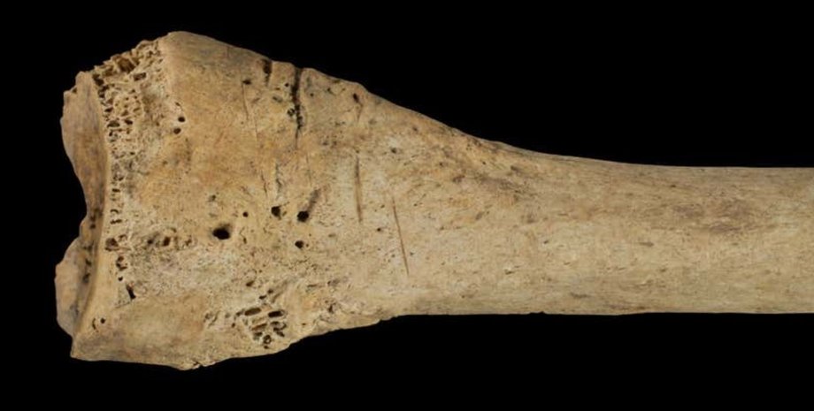 кости древние люди каннибализм