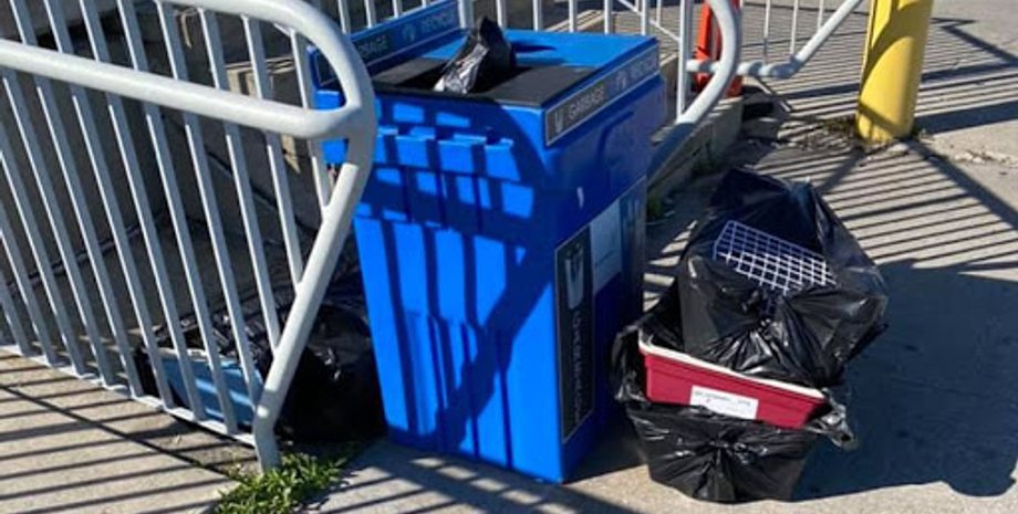 Фото: facebook.com/Эбби Лорензен