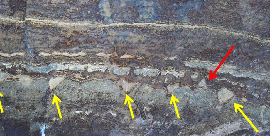 University of New South Wales in Australia