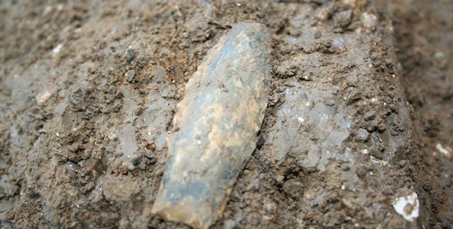 Image courtesy of Texas A & M University