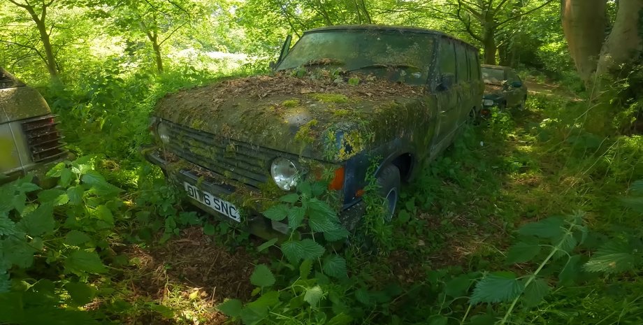 Land Rover, Range Rover, Авто, Автомобили, Внедорожник, Видео, Заброшенные авто, Блогеры, Лес