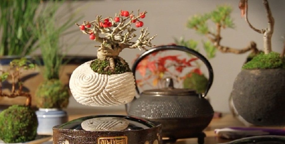 Фото: Hoshinchu / Kickstarter