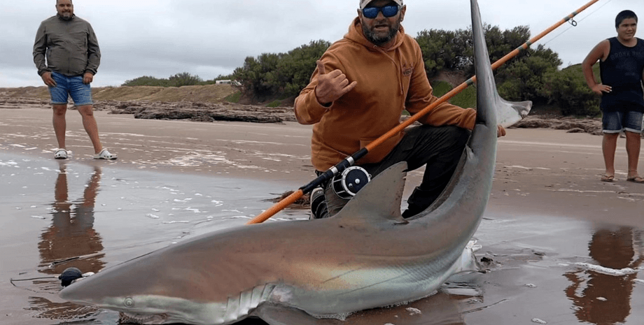 Рыбак поймал акулу на удочку, большой улов, гигантская акула, рыбак, морской гигант, настоящий монстр, рекордный улов
