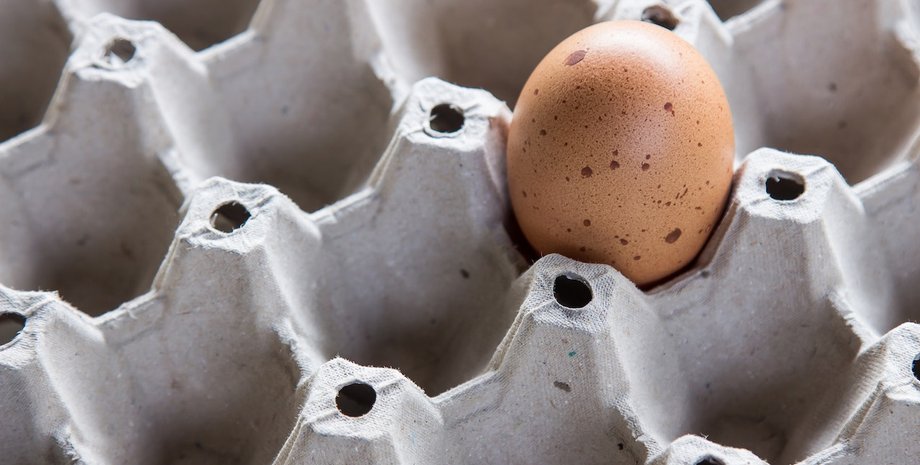 яйця, ціни на яйця, курячі яйця, скільки коштує 10 яєць, як зростають ціни на яйця, скільки коштує лоток яєць, зростання цін, ціни на продукти восени