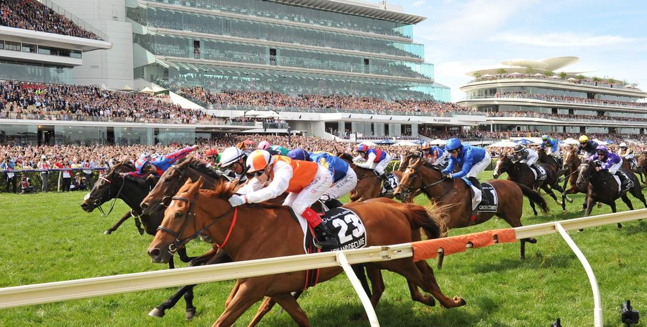 скаковые лошади, скачки