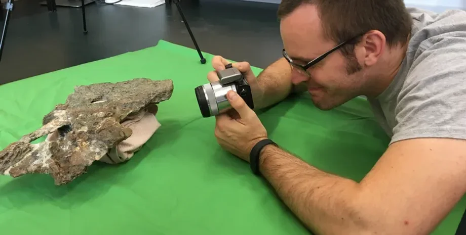 динозавр, палеонтологи, Земля, вид, рід, титанозавр, рештки, шия, кістки, відкриття, знахідка, божество, оазис, Африка, Єгипет